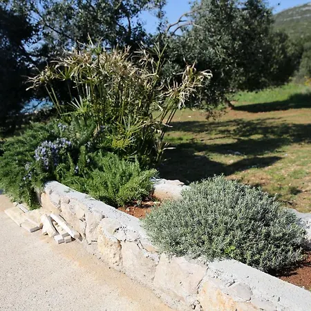 House Idro Tatil Evi Pašman